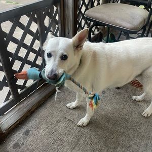 Meet your Posher, Alex